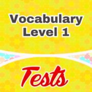 Vocabulary Level 1 Spanish Test